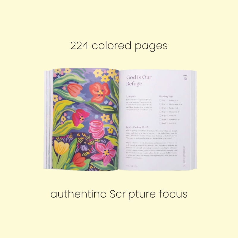 The Complete Bible Journey