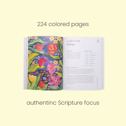 The Complete Bible Journey